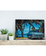 Pasidaryk pats  paveikslas ant drobės  Car under Palm Trees