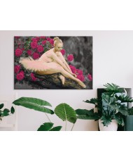 Pasidaryk pats  paveikslas ant drobės  Rose Ballerina