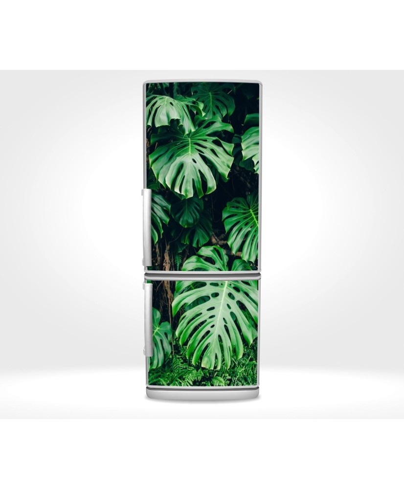 Magnetinis lipdukas ant šaldytuvo