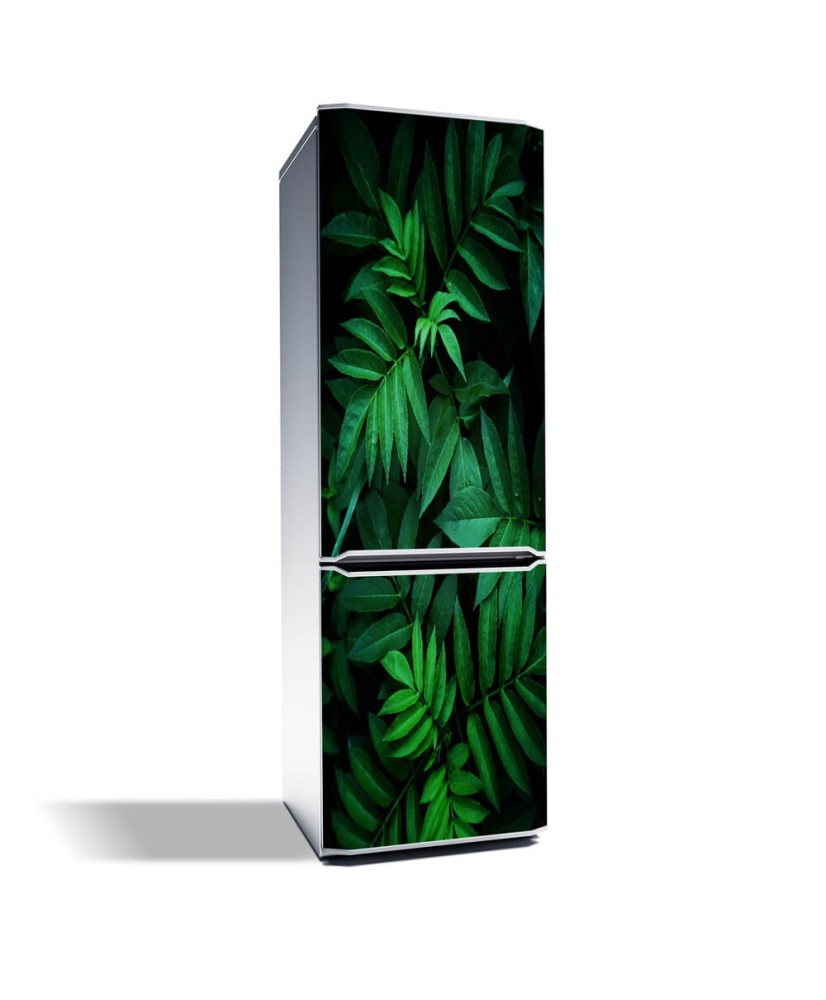 Magnetinis lipdukas ant šaldytuvo