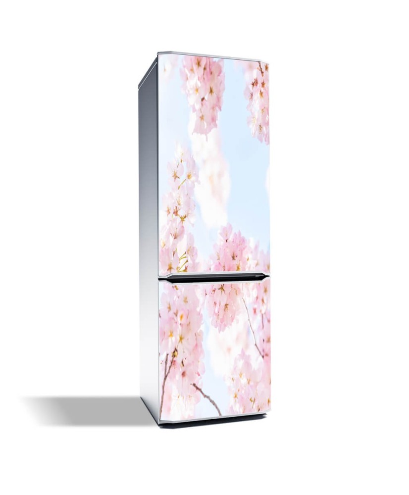 Magnetinis lipdukas ant šaldytuvo