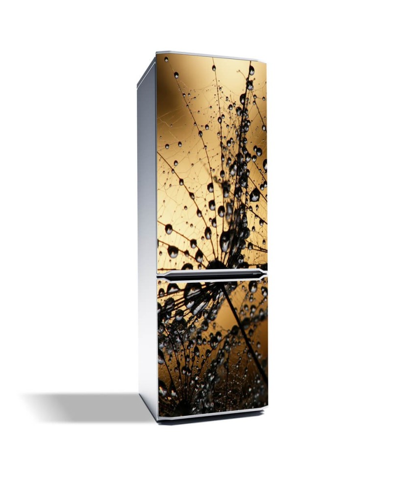 Magnetinis lipdukas ant šaldytuvo