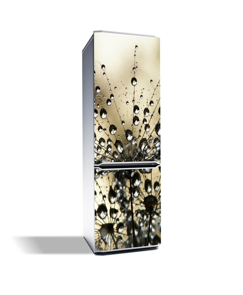 Magnetinis lipdukas ant šaldytuvo