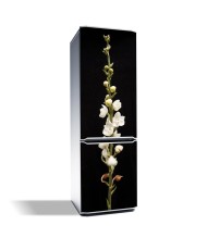 Magnetinis lipdukas ant šaldytuvo