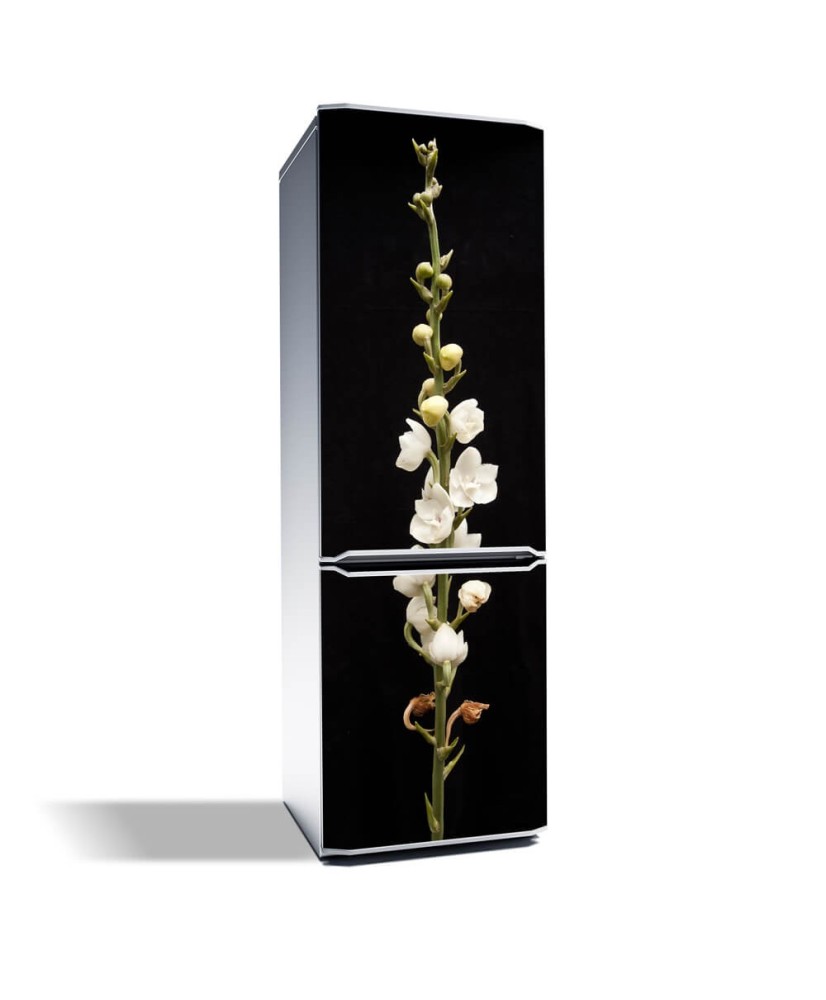 Magnetinis lipdukas ant šaldytuvo