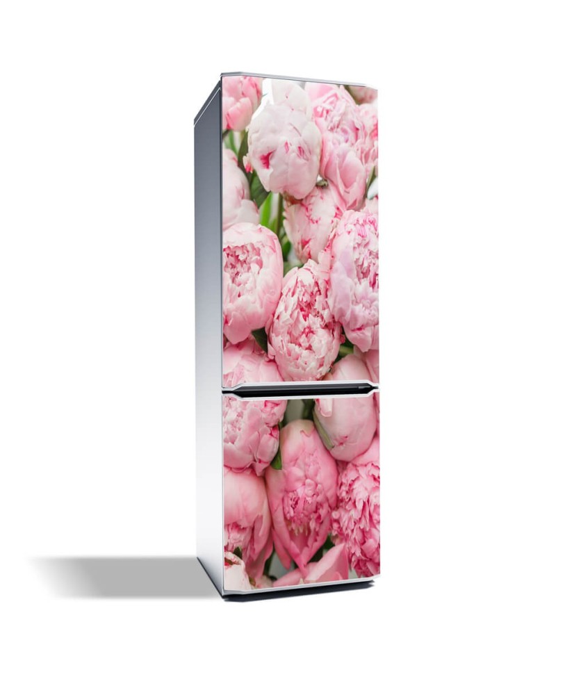 Magnetinis lipdukas ant šaldytuvo