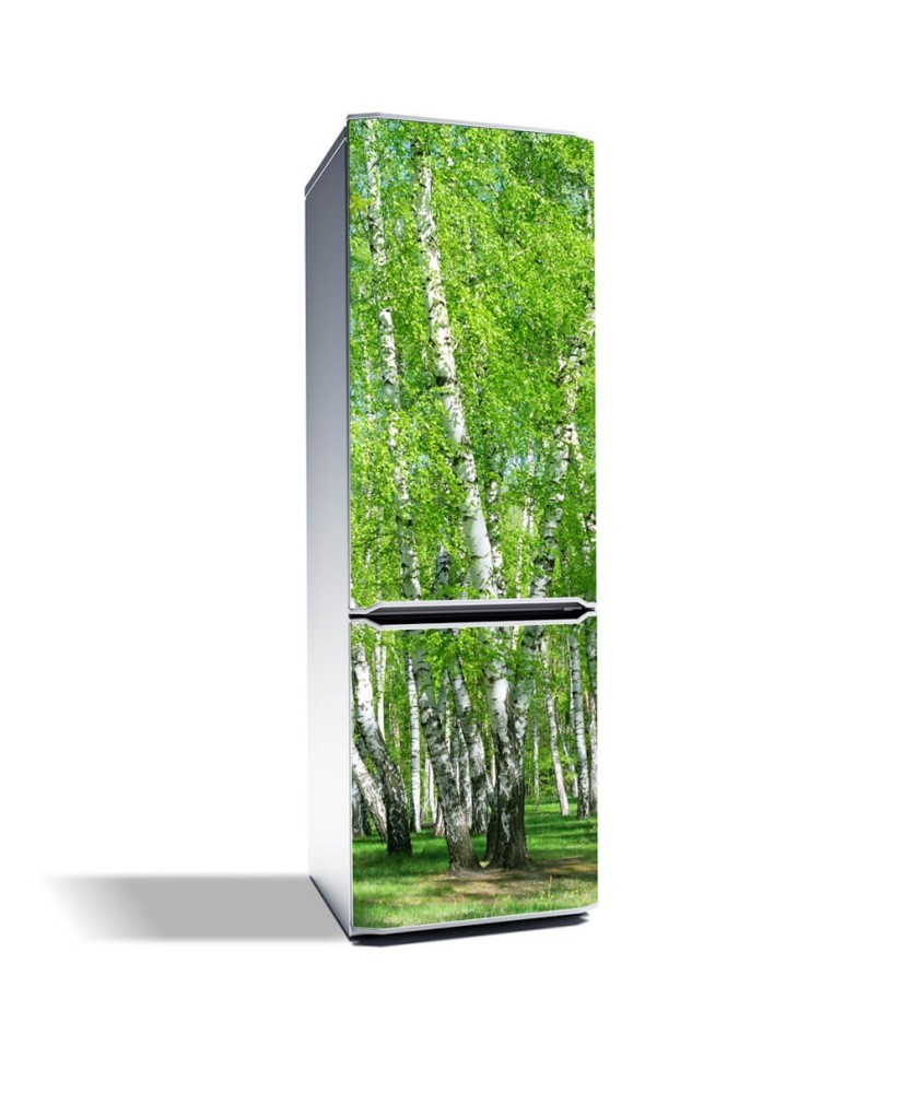 Magnetinis lipdukas ant šaldytuvo