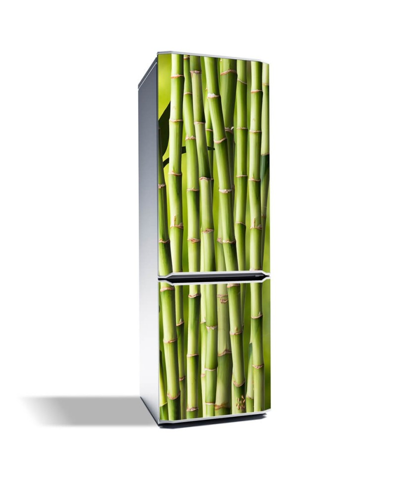 Magnetinis lipdukas ant šaldytuvo