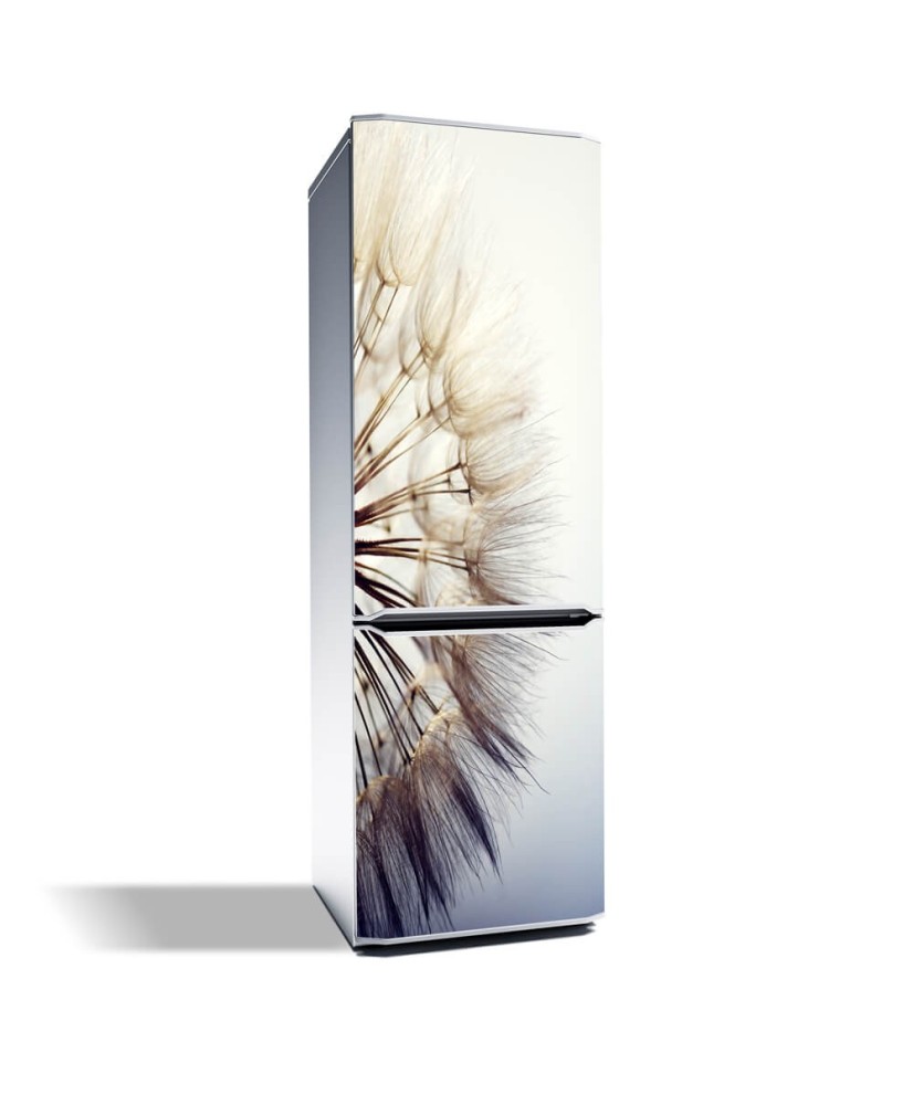 Magnetinis lipdukas ant šaldytuvo