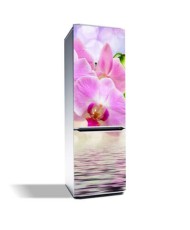 Magnetinis lipdukas ant šaldytuvo