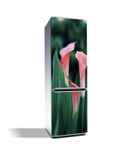 Magnetinis lipdukas ant šaldytuvo