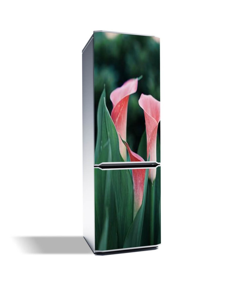 Magnetinis lipdukas ant šaldytuvo