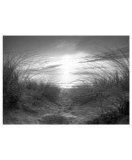Lipnus fototapetas  beach (black and white)