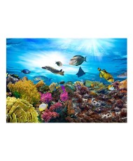 Lipnus fototapetas  Coral reef