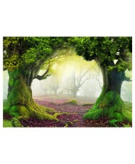 Lipnus fototapetas  Enchanted forest