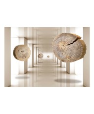 Lipnus fototapetas  Flying Discs of Wood