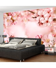 Lipnus fototapetas  Magical Cherry Blossom