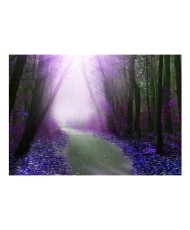 Lipnus fototapetas  Purple path