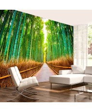 Lipnus fototapetas  Bamboo Forest