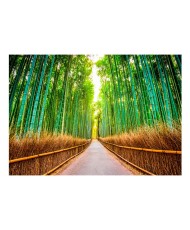 Lipnus fototapetas  Bamboo Forest