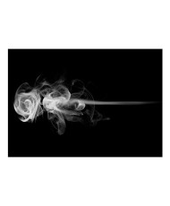 Fototapetas  rose (smoke)
