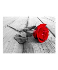 Lipnus fototapetas  Abandoned Rose