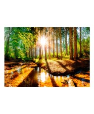 Lipnus fototapetas  Marvelous Forest