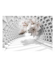 Lipnus fototapetas  Flowers in the Tunnel