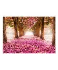 Lipnus fototapetas  Pink grove