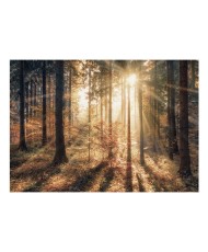 Lipnus fototapetas  Autumnal Forest