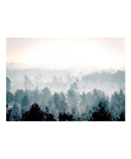 Lipnus fototapetas  Winter Forest