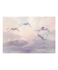 Lipnus fototapetas  Flying Swans