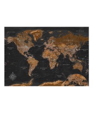 Lipnus fototapetas  World Stylish Map