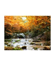 Fototapetas  autumn  waterfall