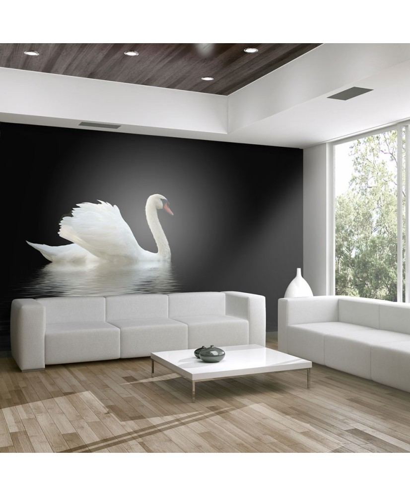 Fototapetas  swan (black and white)