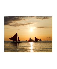 Fototapetas  sailing boats  sunset