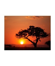 Fototapetas  Africa sunset