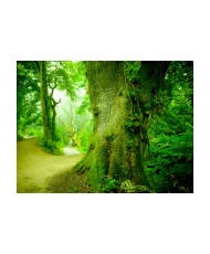 Fototapetas  Forest pathway