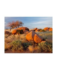 Fototapetas  African landscape, Namibia