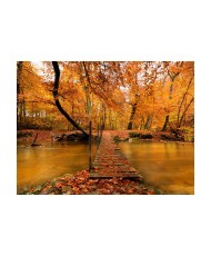 Fototapetas  Autumn bridge