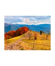 Fototapetas  Autumn landscape in the Carpathian mountains