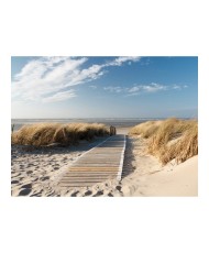 Fototapetas  North Sea beach, Langeoog
