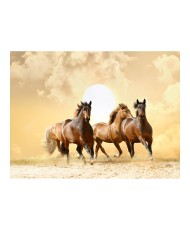 Fototapetas  Running horses