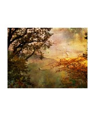 Fototapetas  Painted autumn