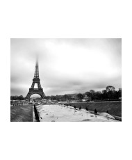 Fototapetas  Paris Eiffel Tower