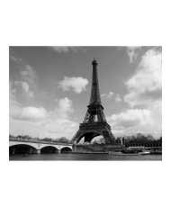 Fototapetas  Seine and Eiffel Tower
