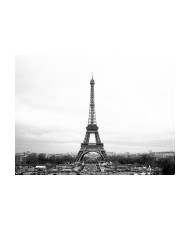 Fototapetas  Paris black and white photography