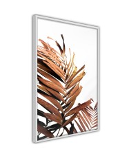 Plakatas  Copper Palm