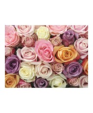 Fototapetas  Pastel roses