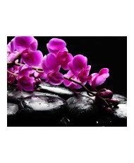 Fototapetas  Relaxing moment orchid flower and stones